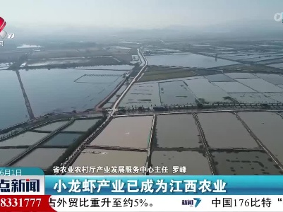 整点新闻20230601 10：00