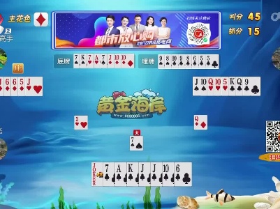 谁是赢家20230611