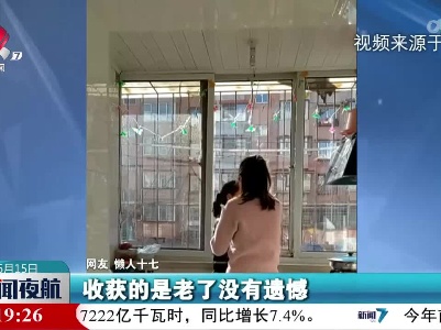 【“全职儿女”引热议】从给老板上班 到给爹妈打工