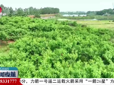 赣州南康：科学田管 助力富硒水稻丰产增收