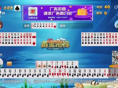 谁是赢家20230612