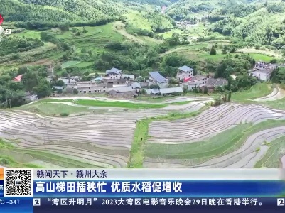 【赣闻天下】赣州大余：高山梯田插秧忙 优质水稻促增收