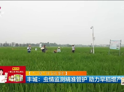 【“三夏”时节农事忙】丰城：虫情监测精准管护 助力早稻增产增收