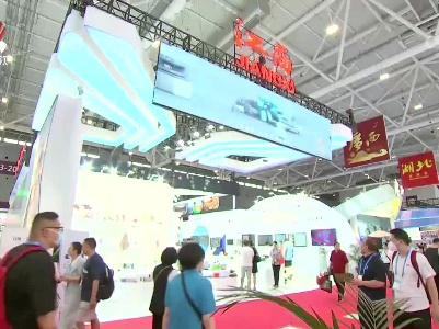 庄兆林率团参加第十九届深圳文博会