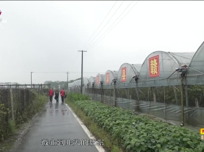 新闻晚高峰20230606