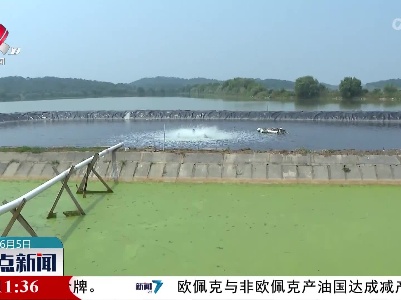 整点新闻20230605 14:00