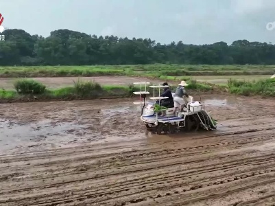 新农机新技术助力夏种高效推进