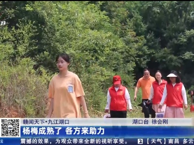 都市现场·午间版20230612
