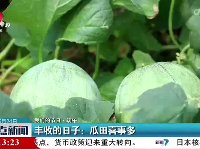 【我们的节日·端午】丰收的日子：瓜田喜事多