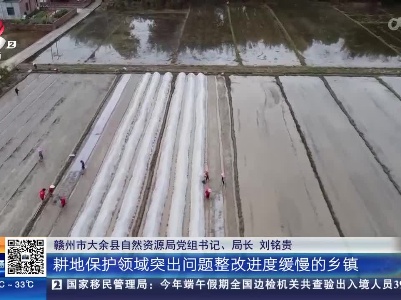 【全国“土地日”】赣州大余：有了旱改水 农户不再“靠天吃饭”