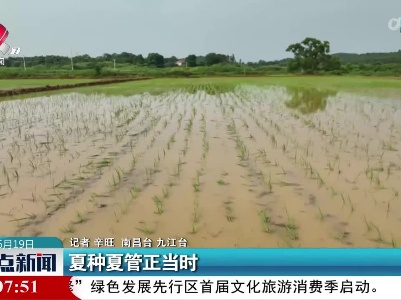 夏种夏管正当时
