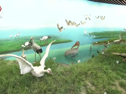全国人大常委会湿地保护法执法检查组在赣检查 王东明率队检查 叶建春出席汇报座谈会