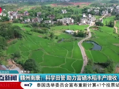 赣州南康：科学田管 助力富硒水稻丰产增收