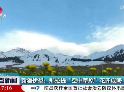 新疆伊犁：那拉提“空中草原”花开成海