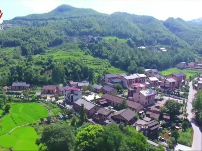 “土味”乡村“潮”起来