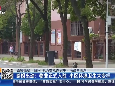 都市现场·午间版20230601