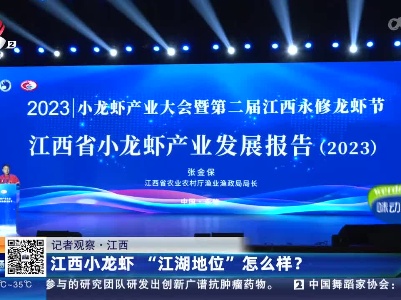 都市现场20230604