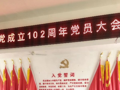 宜春市袁州区西村镇各村组织开展“七一”系列活动
