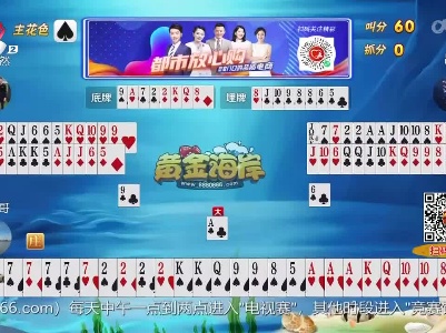 谁是赢家20230601