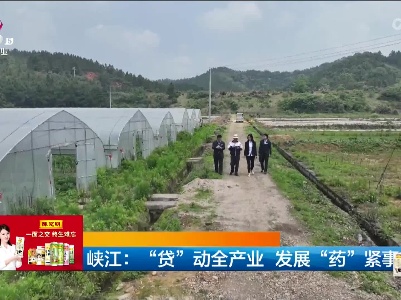 新闻晚高峰20230620