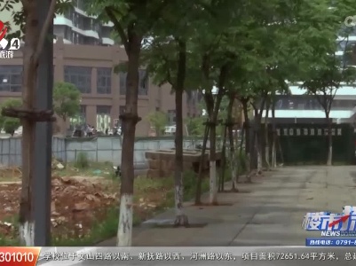 楼市探察20230610