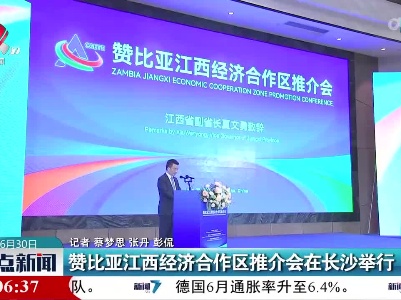赞比亚江西经济合作区推介会再次长沙举行