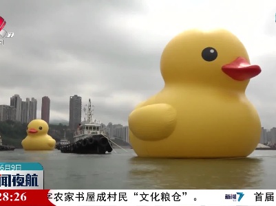 “大黄鸭”再次亮相香港 带来快乐与活力