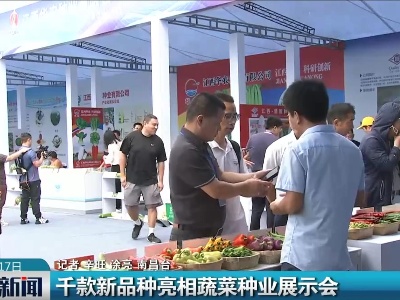 整点新闻20230617 16:00