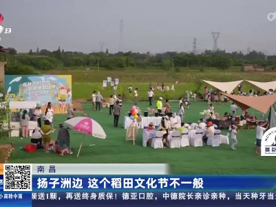 南昌：扬子洲边 这个稻田文化节不一般