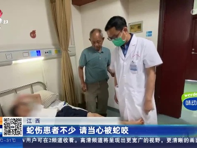 江西：蛇伤患者不少 请当心被蛇咬