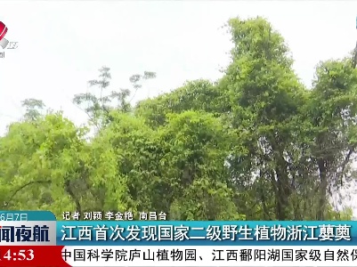 江西首次发现国家二级野生植物浙江蘡薁