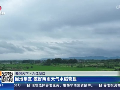 都市现场·午间版20230630