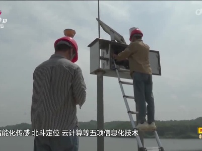 新闻晚高峰20230625
