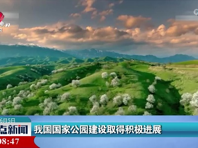 整点新闻20230605 16:00
