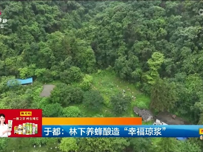 新闻晚高峰20230617