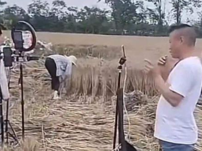 热评丨网红扎堆到麦地直播割麦 农民的苦难不是流量的噱头