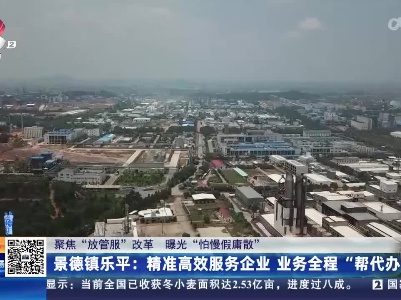 【聚焦“放管服”改革 曝光“怕慢假庸散”】景德镇乐平：精准高效服务企业 业务全程“帮代办”