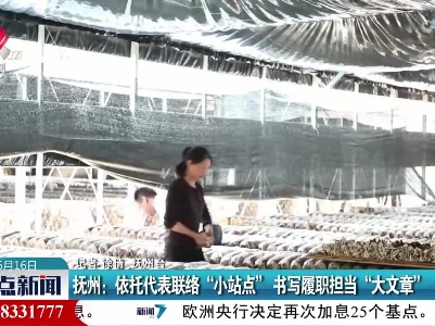 抚州：依托代表联络“小站点” 书写履职担当“大文章”