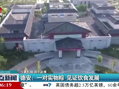 【今夏和顺 端午安康】德安：一对实物粽 见证饮食发展