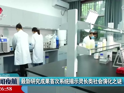 最新研究成果首次系统揭示灵长类社会演化之谜