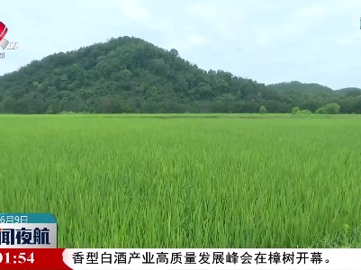 陈敏在吉安市调研