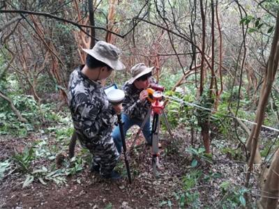 萍乡市启动林草生态综合监测样地调查工作