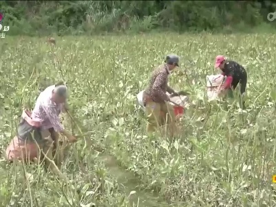 新闻晚高峰20230604
