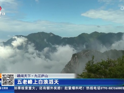 【赣闻天下】九江庐山：五老峰上白浪滔天