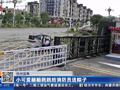 抚州宜黄：小可爱蹦蹦跳跳给消防员送粽子