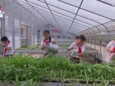 哈尼小记者20230612