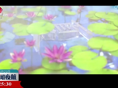 【今日夏至】上半年最后一个节气来了