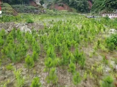 我省又一历史遗留废弃矿山生态修复示范工程项目获中央财政支持