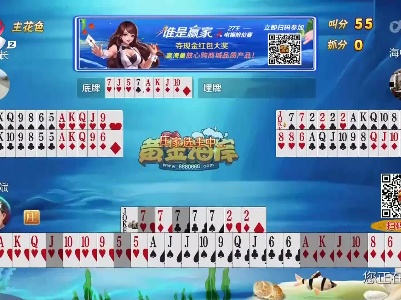 谁是赢家20230607
