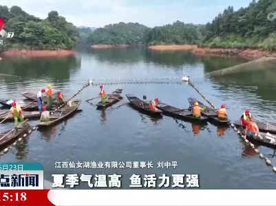整点新闻20230623 12:00